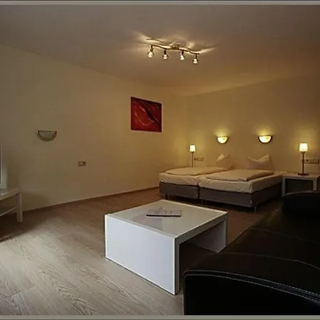 Baeren Hotel 3*