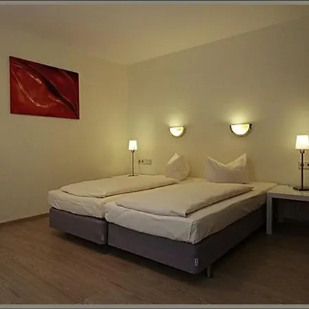 Hotel Baeren 3*