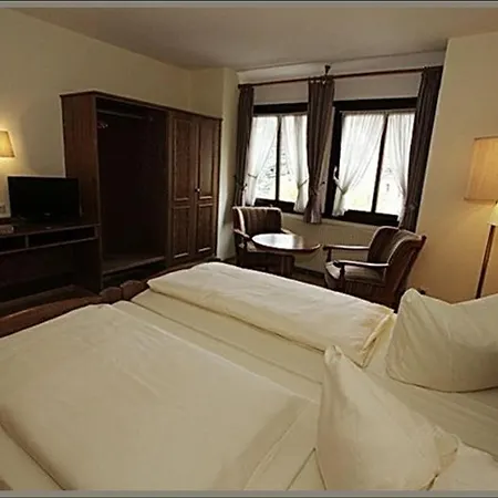 Baeren Hotel Leimen (Baden)