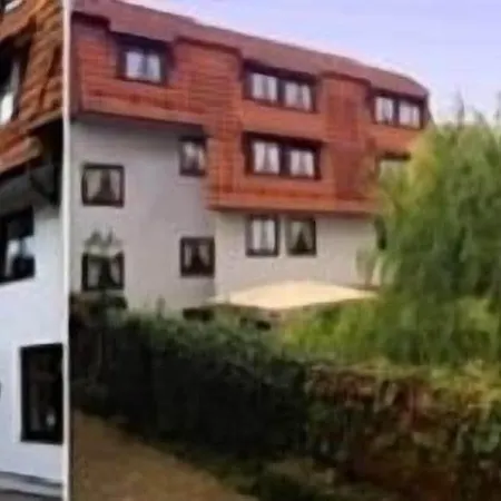 Baeren Hotel Leimen (Baden)