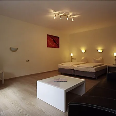 Hotel Baeren 3*