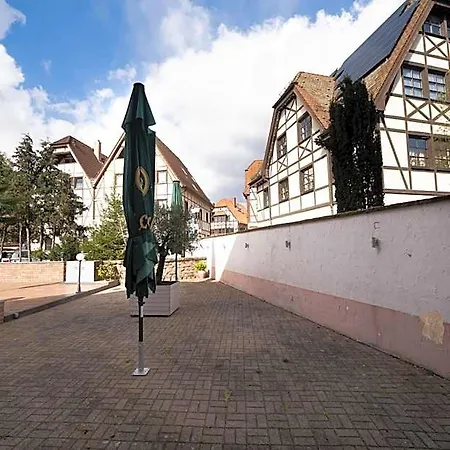 Hotel Baeren