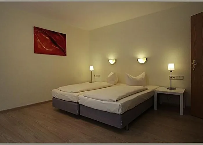 Отель Baeren 3*