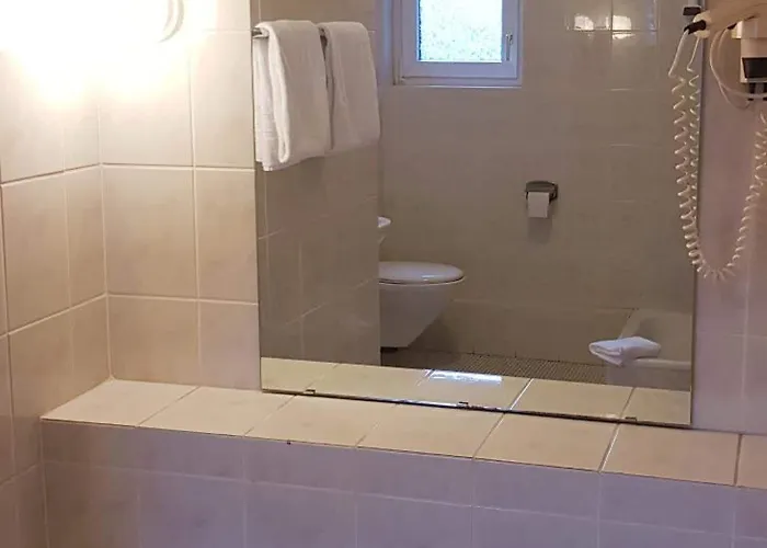 Отель Baeren 3*